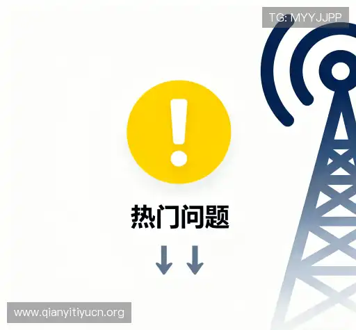快速参考